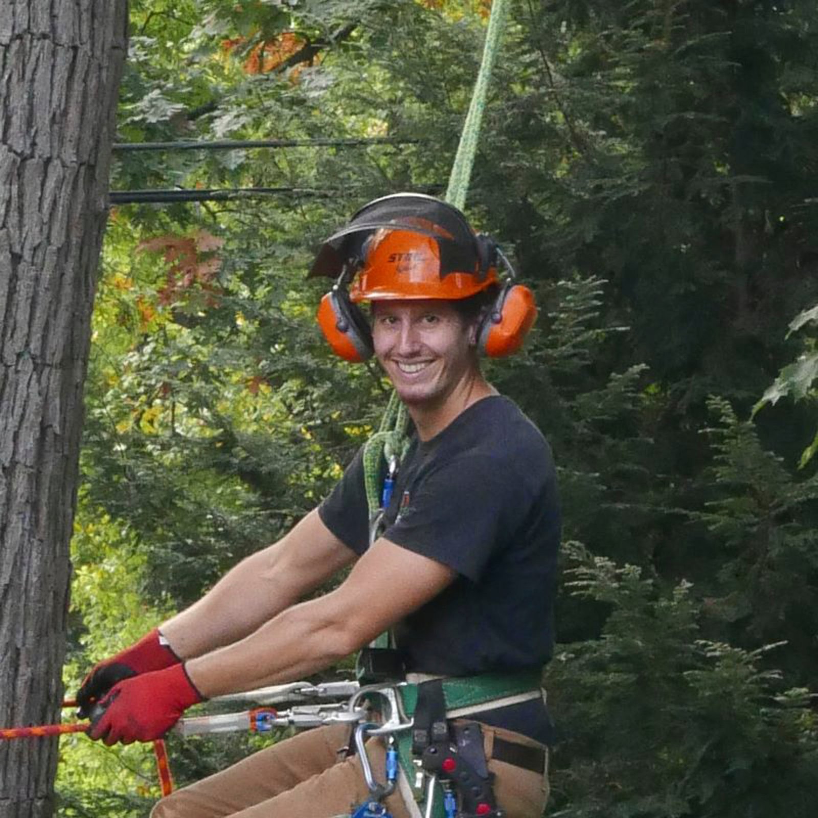Tree Service Climber/ US Army Veteran/ Certified Arborist