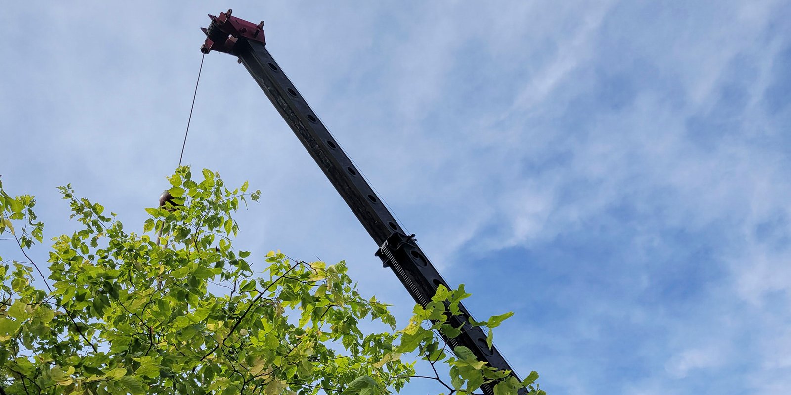 Cherry Valley Tree Service