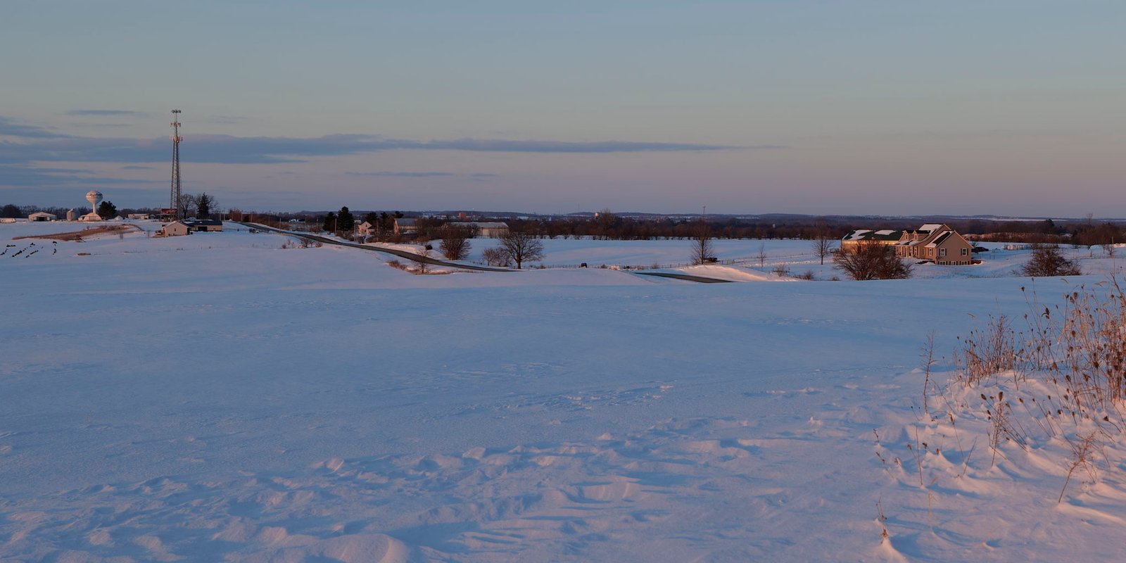 Davis IL Tree Service