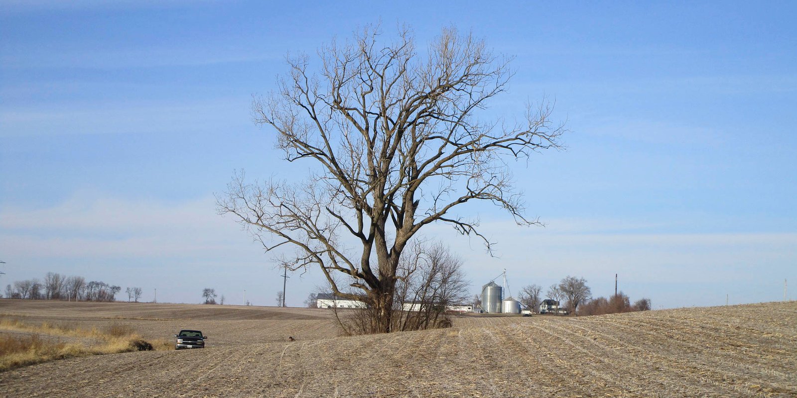 tree service Durand IL