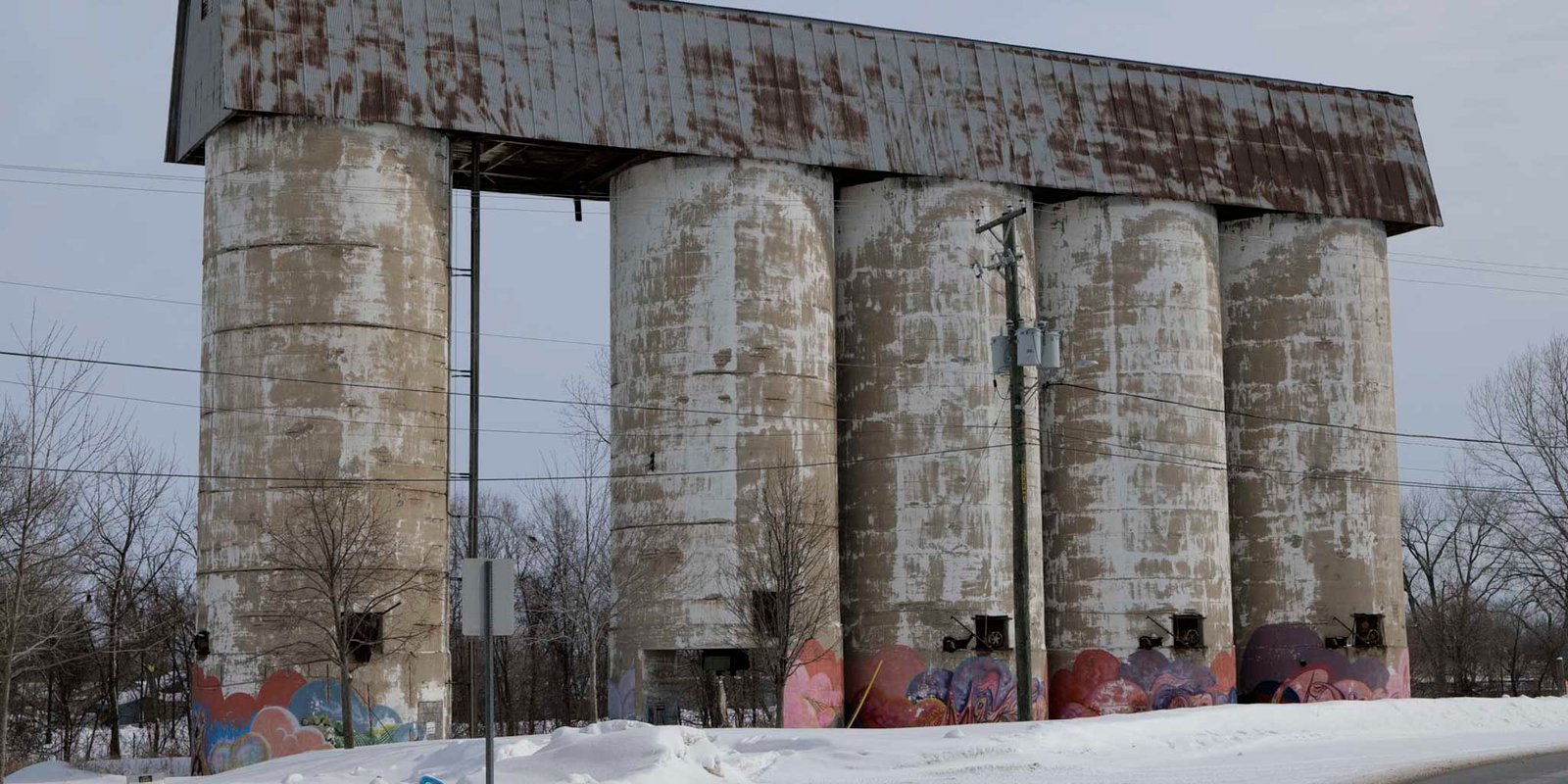 Tree Service Freeport IL