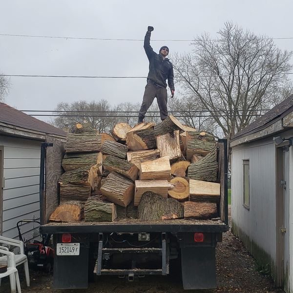 worker celebrates completion of manually loading truck with logs