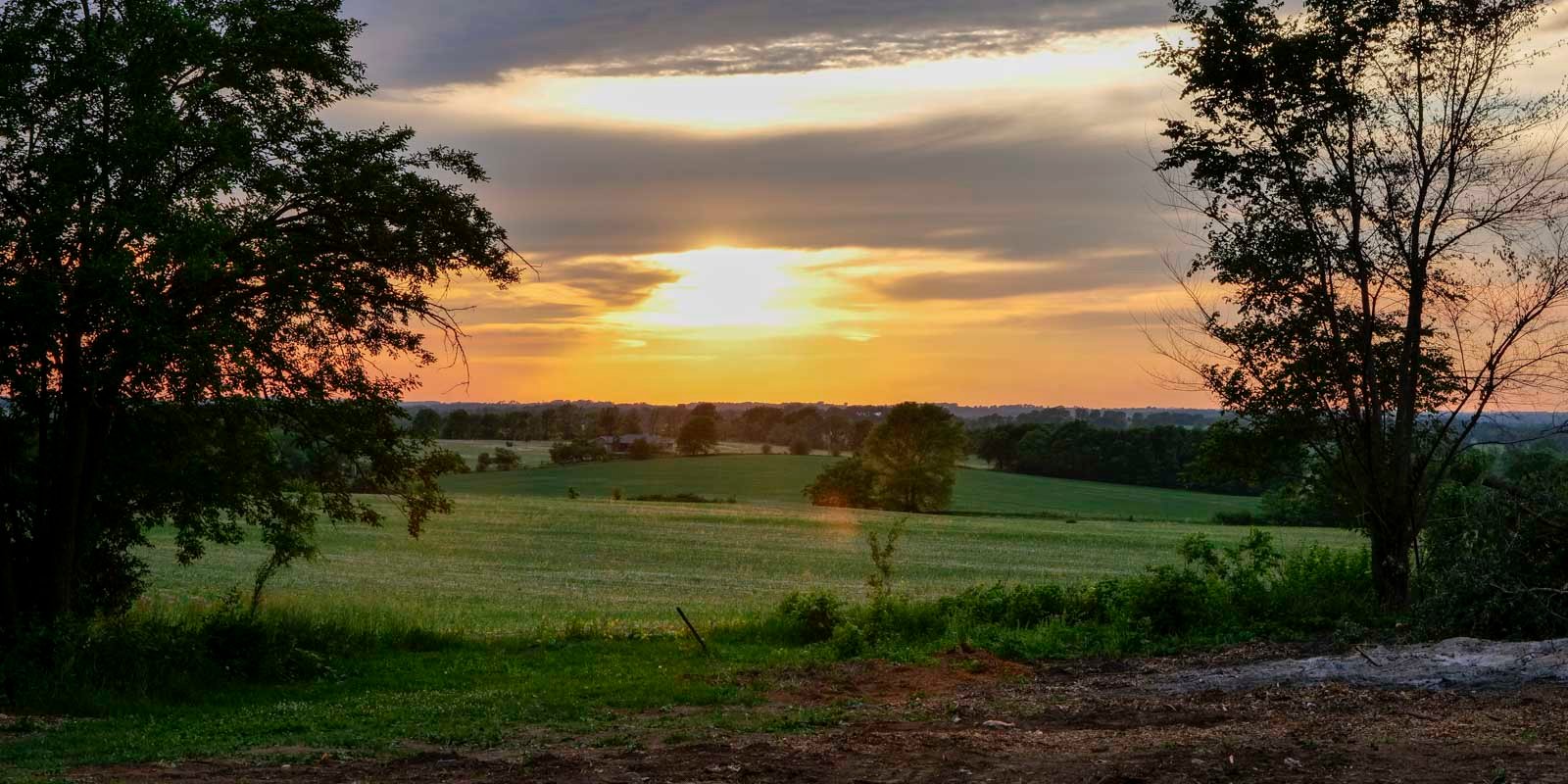 Tree Service Pecatonica