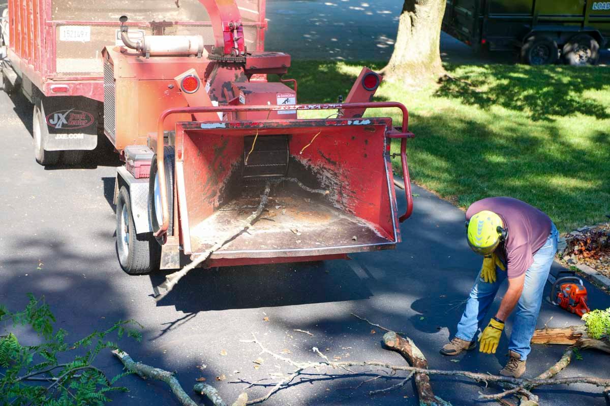 brush chipping Rockford