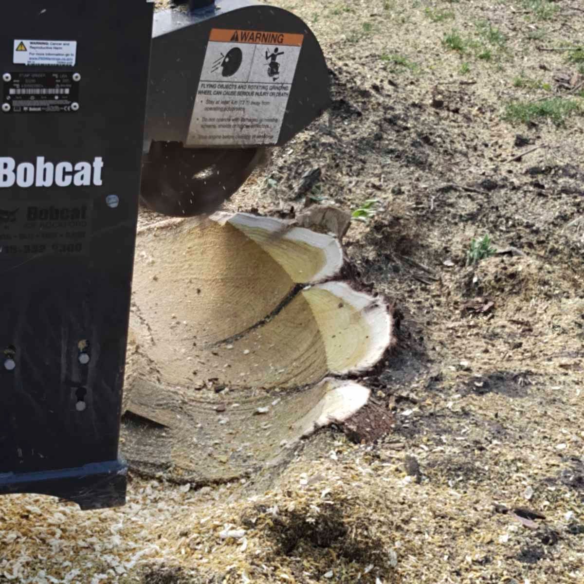 Rockford stump grinding service