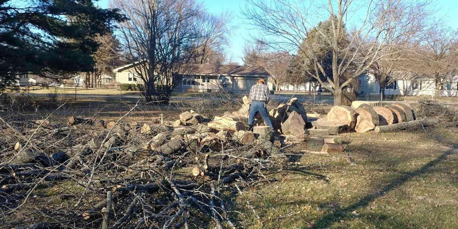 Tree Service Rockton