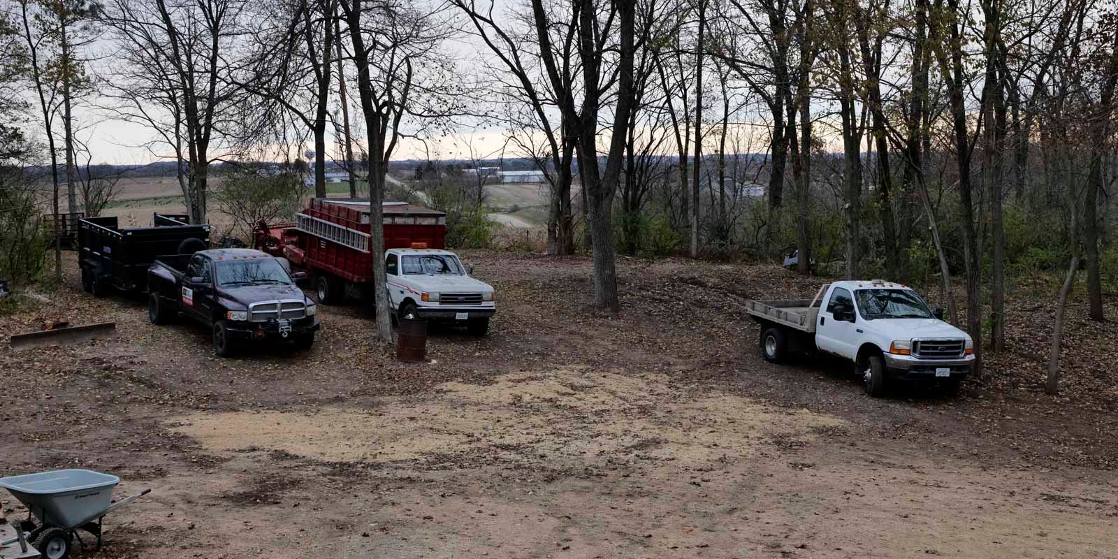 trees at the Fast Eddy's Trees property